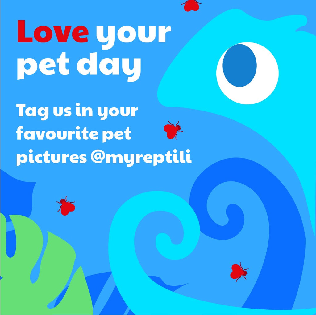 Love your pet day