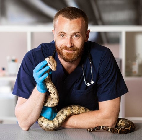 Health & Common Diseases for Household Pet Snakes