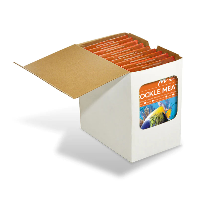 Cockle Meat - 10 Pack