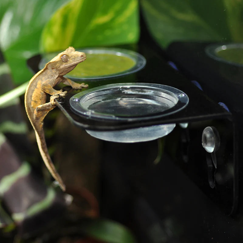 HabiStat Crested Gecko Accessory Kit