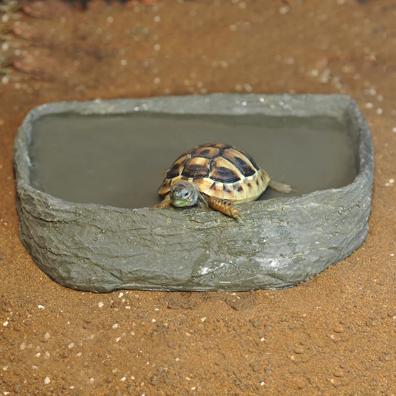 HabiStat Tortoise Pool